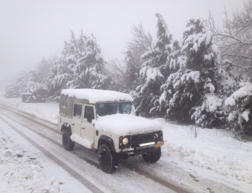 טיול שלג בצפון רמת הגולן